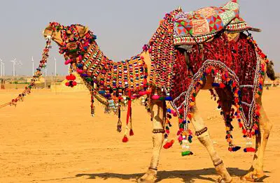 Jaisalmer Desert Festival Maru Mahotsav